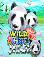 สนุกเต็มพิกัดกับ ทดลองใช้ฟรี ปั่นสล็อตที่จะพาคุณรวยง่ายๆ